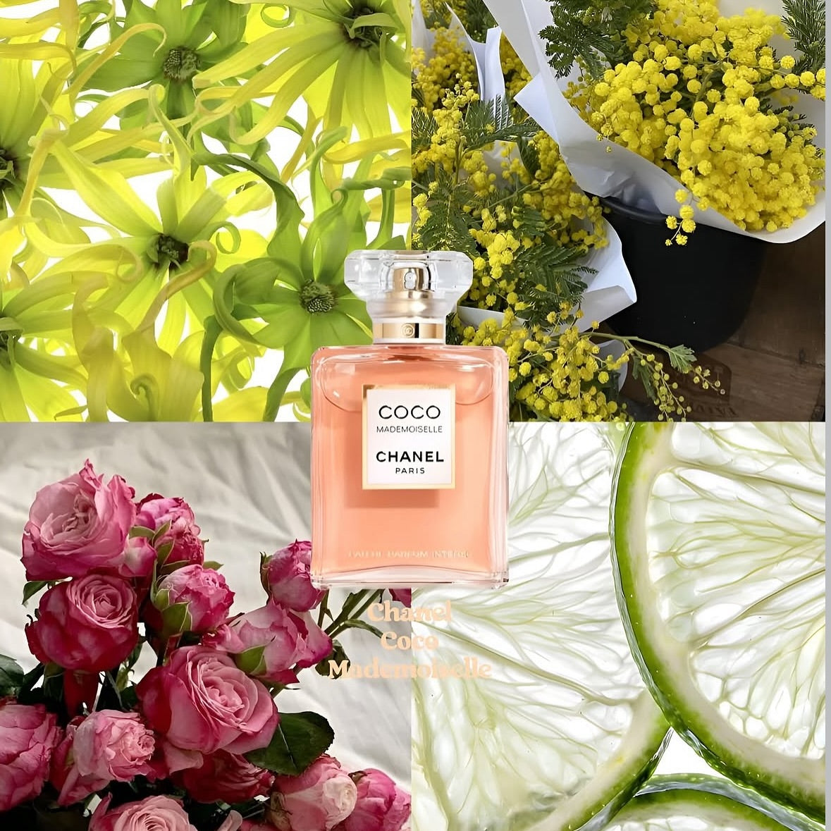 Coco Mademoiselle Chanel Paris | Eau de Parfum Premium Authentique